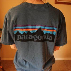 Patagonia Men's t-shirt